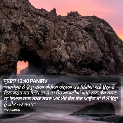 ਯੂਹੰਨਾ 12:40 PANIRV Bible Verse Image