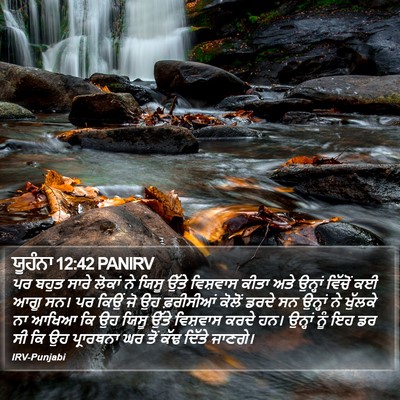 ਯੂਹੰਨਾ 12:42 PANIRV Bible Verse Image