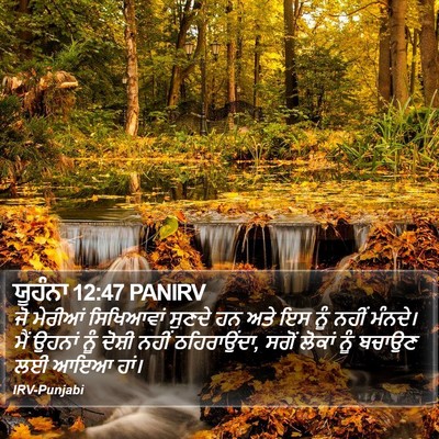 ਯੂਹੰਨਾ 12:47 PANIRV Bible Verse Image