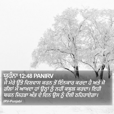ਯੂਹੰਨਾ 12:48 PANIRV Bible Verse Image