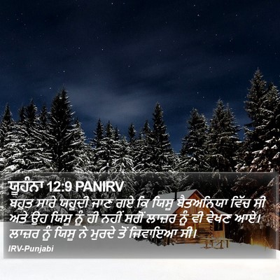 ਯੂਹੰਨਾ 12:9 PANIRV Bible Verse Image