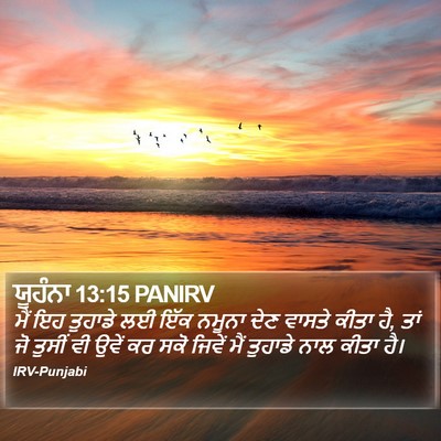ਯੂਹੰਨਾ 13:15 PANIRV Bible Verse Image