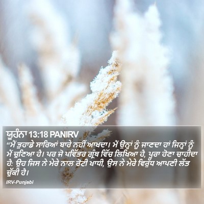 ਯੂਹੰਨਾ 13:18 PANIRV Bible Verse Image