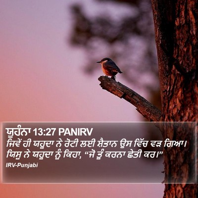 ਯੂਹੰਨਾ 13:27 PANIRV Bible Verse Image
