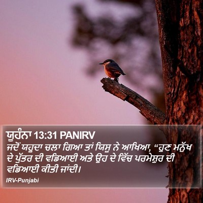 ਯੂਹੰਨਾ 13:31 PANIRV Bible Verse Image