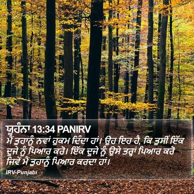 ਯੂਹੰਨਾ 13:34 PANIRV Bible Verse Image