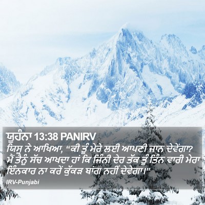 ਯੂਹੰਨਾ 13:38 PANIRV Bible Verse Image