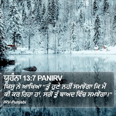 ਯੂਹੰਨਾ 13:7 PANIRV Bible Verse Image
