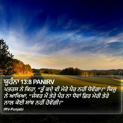 ਯੂਹੰਨਾ 13:8 PANIRV Bible Verse Image