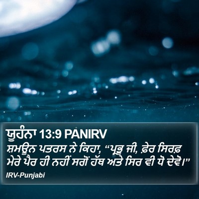 ਯੂਹੰਨਾ 13:9 PANIRV Bible Verse Image