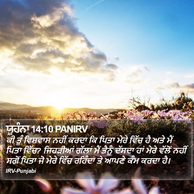 ਯੂਹੰਨਾ 14:10 PANIRV Bible Verse Image