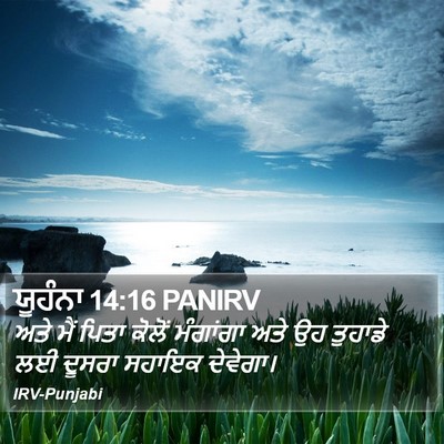 ਯੂਹੰਨਾ 14:16 PANIRV Bible Verse Image