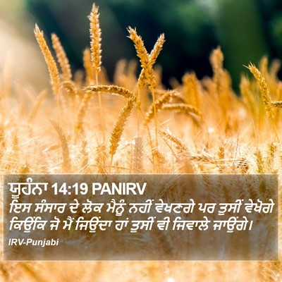ਯੂਹੰਨਾ 14:19 PANIRV Bible Verse Image