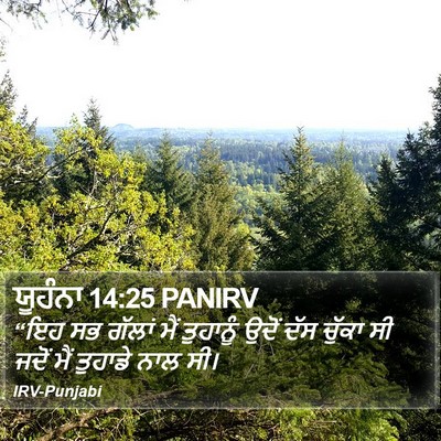ਯੂਹੰਨਾ 14:25 PANIRV Bible Verse Image