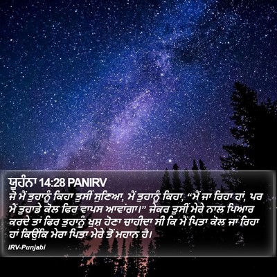 ਯੂਹੰਨਾ 14:28 PANIRV Bible Verse Image