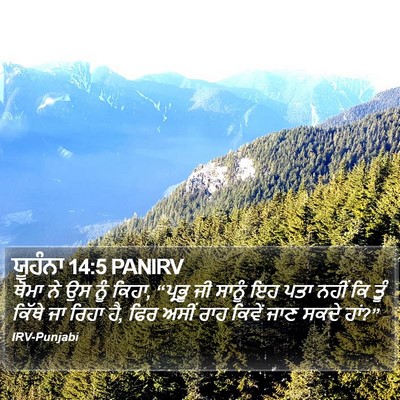 ਯੂਹੰਨਾ 14:5 PANIRV Bible Verse Image