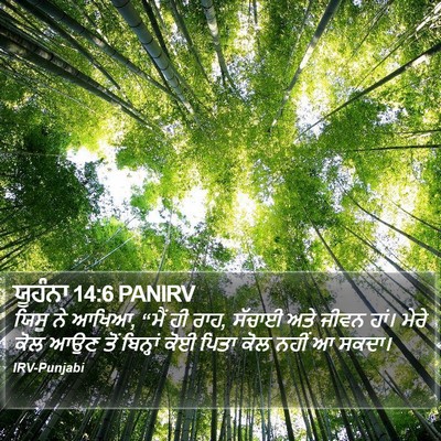 ਯੂਹੰਨਾ 14:6 PANIRV Bible Verse Image