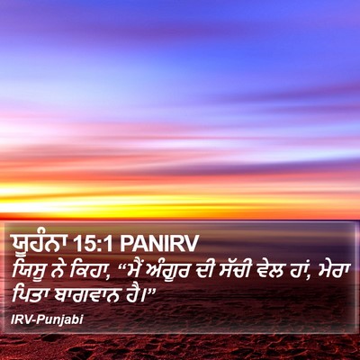 ਯੂਹੰਨਾ 15:1 PANIRV Bible Verse Image