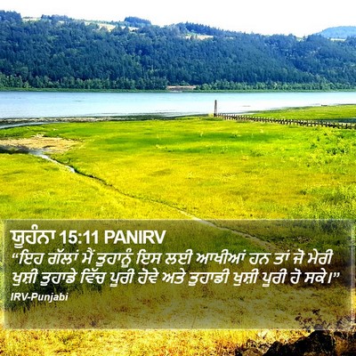 ਯੂਹੰਨਾ 15:11 PANIRV Bible Verse Image