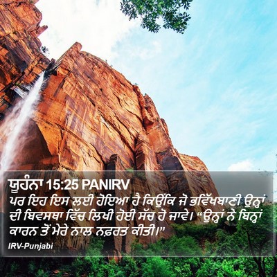 ਯੂਹੰਨਾ 15:25 PANIRV Bible Verse Image