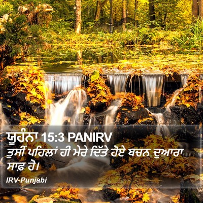 ਯੂਹੰਨਾ 15:3 PANIRV Bible Verse Image