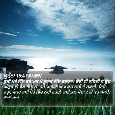ਯੂਹੰਨਾ 15:4 PANIRV Bible Verse Image