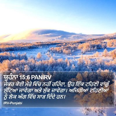 ਯੂਹੰਨਾ 15:6 PANIRV Bible Verse Image