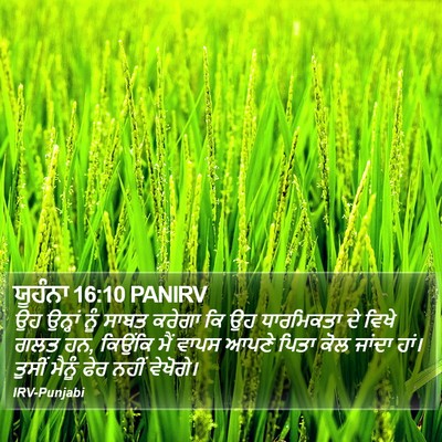 ਯੂਹੰਨਾ 16:10 PANIRV Bible Verse Image