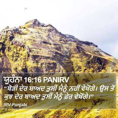 ਯੂਹੰਨਾ 16:16 PANIRV Bible Verse Image