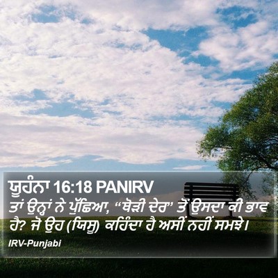 ਯੂਹੰਨਾ 16:18 PANIRV Bible Verse Image