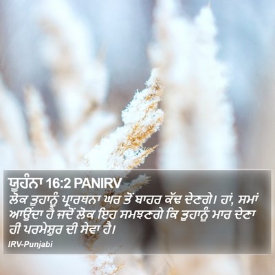 ਯੂਹੰਨਾ 16:2 PANIRV Bible Verse Image