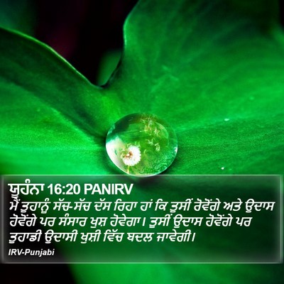 ਯੂਹੰਨਾ 16:20 PANIRV Bible Verse Image