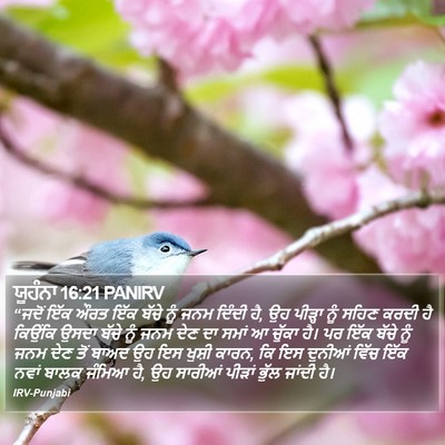 ਯੂਹੰਨਾ 16:21 PANIRV Bible Verse Image