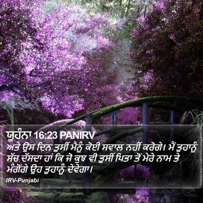 ਯੂਹੰਨਾ 16:23 PANIRV Bible Verse Image