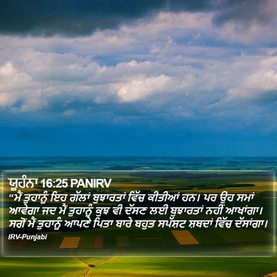 ਯੂਹੰਨਾ 16:25 PANIRV Bible Verse Image