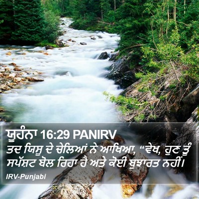 ਯੂਹੰਨਾ 16:29 PANIRV Bible Verse Image