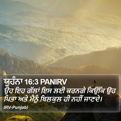 ਯੂਹੰਨਾ 16:3 PANIRV Bible Verse Image