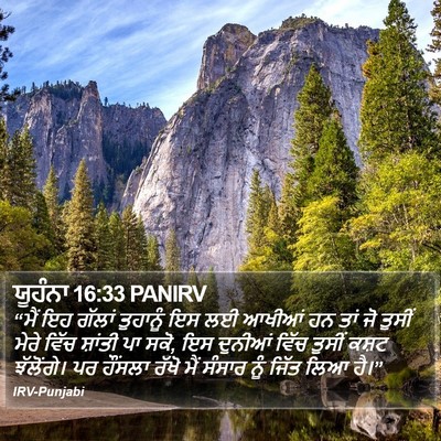 ਯੂਹੰਨਾ 16:33 PANIRV Bible Verse Image