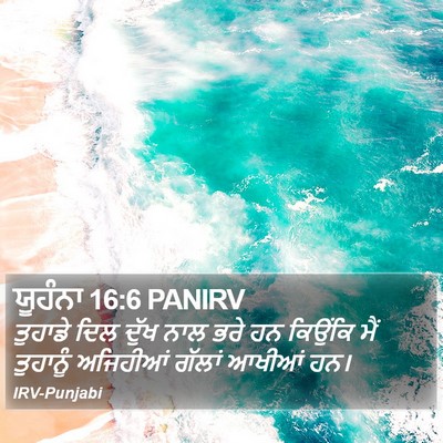 ਯੂਹੰਨਾ 16:6 PANIRV Bible Verse Image