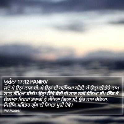 ਯੂਹੰਨਾ 17:12 PANIRV Bible Verse Image