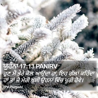 ਯੂਹੰਨਾ 17:13 PANIRV Bible Verse Image