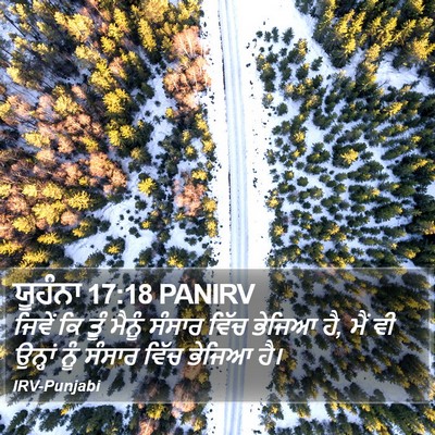 ਯੂਹੰਨਾ 17:18 PANIRV Bible Verse Image
