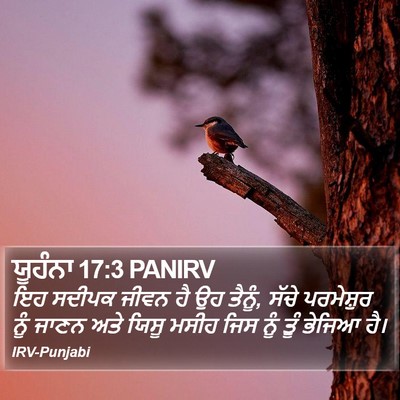 ਯੂਹੰਨਾ 17:3 PANIRV Bible Verse Image
