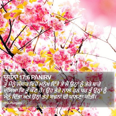 ਯੂਹੰਨਾ 17:6 PANIRV Bible Verse Image