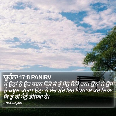 ਯੂਹੰਨਾ 17:8 PANIRV Bible Verse Image