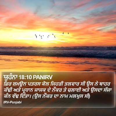 ਯੂਹੰਨਾ 18:10 PANIRV Bible Verse Image