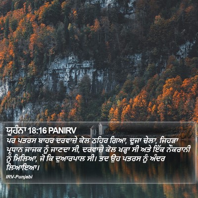 ਯੂਹੰਨਾ 18:16 PANIRV Bible Verse Image