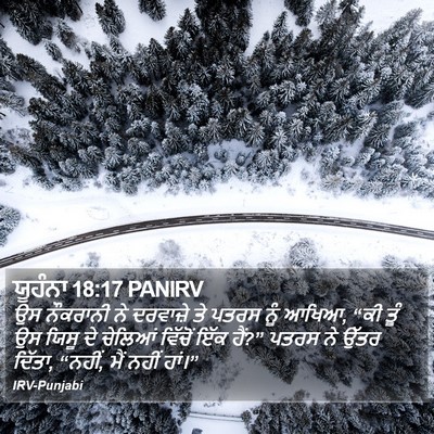ਯੂਹੰਨਾ 18:17 PANIRV Bible Verse Image