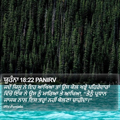 ਯੂਹੰਨਾ 18:22 PANIRV Bible Verse Image