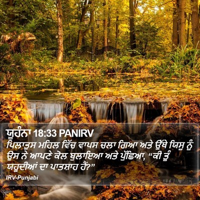 ਯੂਹੰਨਾ 18:33 PANIRV Bible Verse Image
